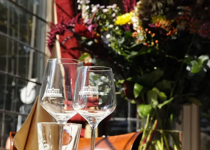 't Spijker 3* Бек