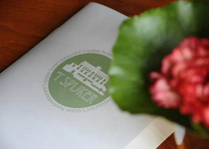 't Spijker 3* Бек