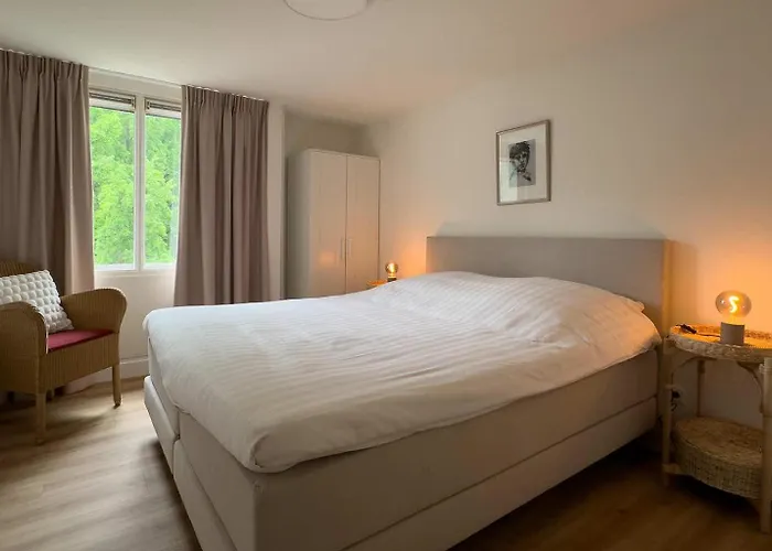 't Spijker 3* Бек